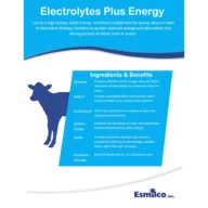 Electrolytes Plus Energy