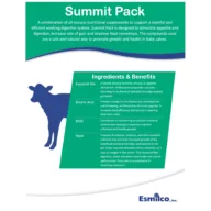 Summit Pack