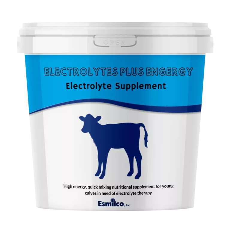 electrolytes-plus-energy-bucket