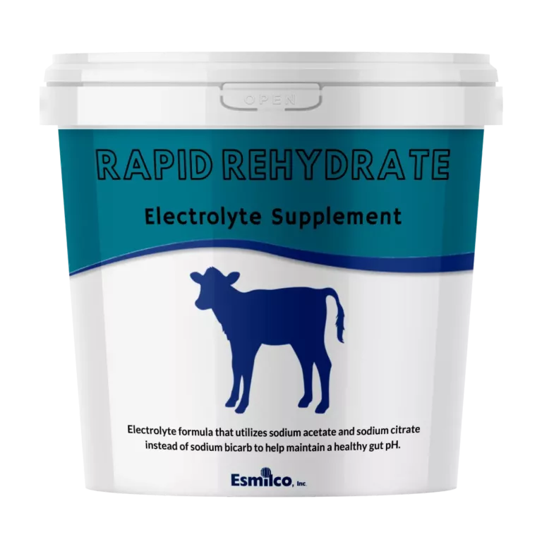 rapid-rehydrate-bucket